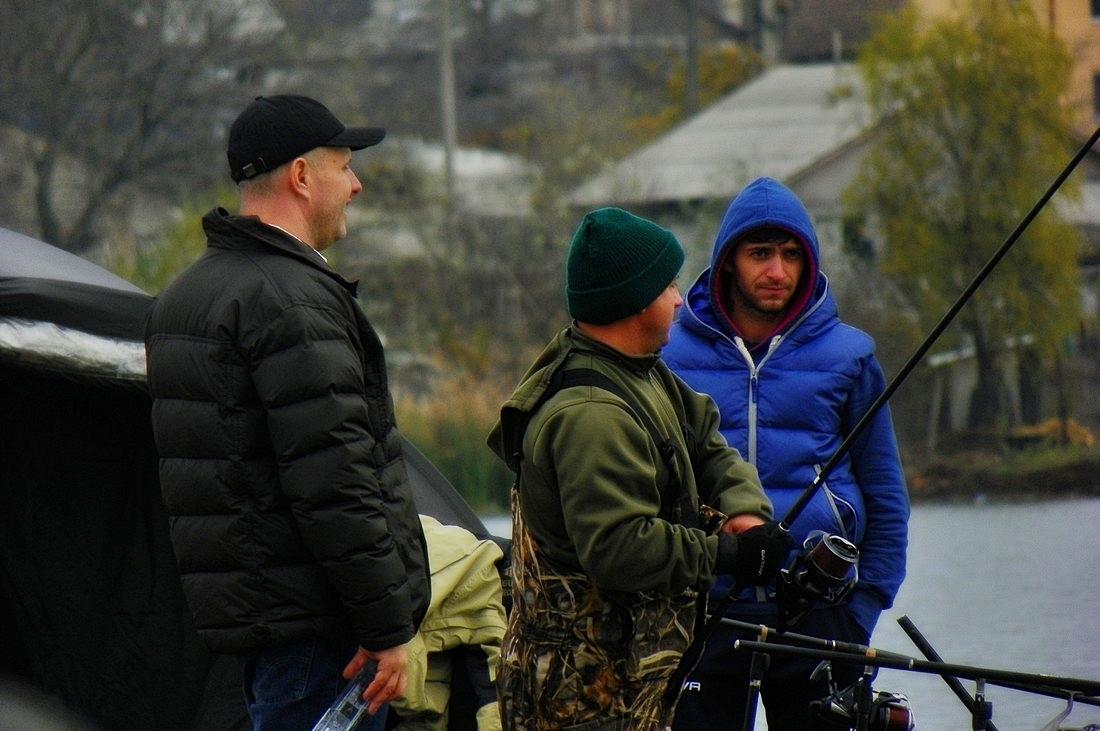 Diverse - 1011039.jpg